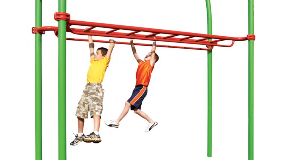 Overhead Ladder with Parallel Bars